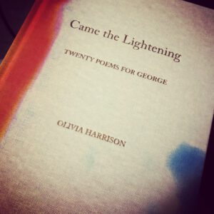 Came The Lightening Book Cover